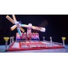 LetsGoRides - Top Scan, 
Motorized reproduction of the fairground attraction "Top Scan" made with Lego bricks. Foldable on 3 tr