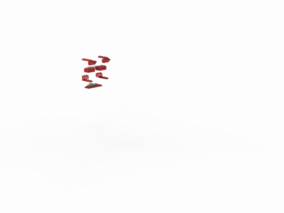Speed2024INS.gif